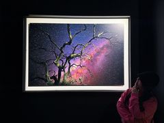 -罗红摄影艺术馆