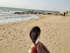 -老虎石海上公园