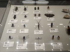-四川大学博物馆
