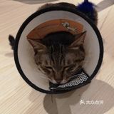每人要消费30 就是一杯饮料一份小吃或者蛋糕就够了
