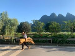-村上春树