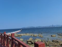 -养马岛旅游度假区