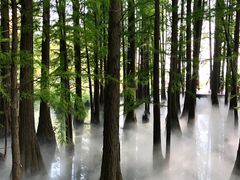 -东湖落雁景区