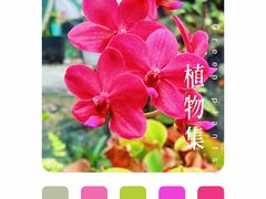 -国家植物园南园