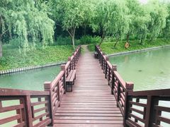 -广富林郊野公园