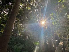 -布里斯班南岸公园