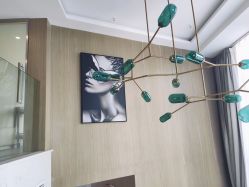 -美最美健康管理中心