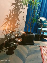 -娇玫荟SPA