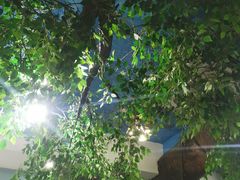 -中雪冰冰凉(沙湾国际店)