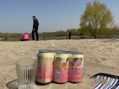 -东郊湿地公园