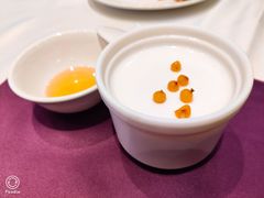 酸奶-凯鸽酒楼(水泉湾龙园店)
