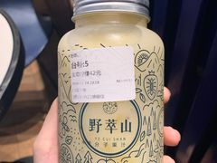 -野萃山·潮汕厚果汁(十亩地店)