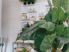 -SENTEA森茶(麦地丽日店)