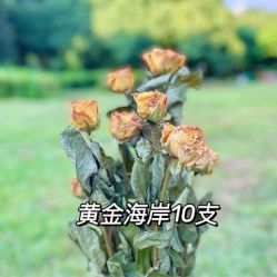 -小梨·OndaPro·专业脱毛连锁机构