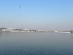 -丁香湖公园