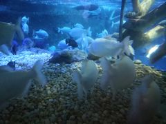 -成都浩海立方海洋公园