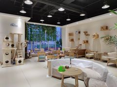 -藏猫猫咖啡主题馆(中央大道店)