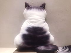 -飞行喵MR PILOT|猫舍·猫咖(静安大融城店)