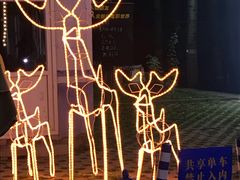 -枫花园汽车电影院(朝阳公园店)