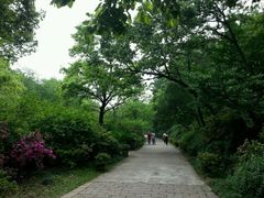 android_upload_pic-南山风景名胜区