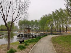 -东郊湿地公园