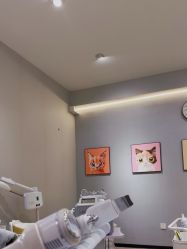 -洗脸猫·洗脸吧
