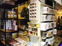 -猫咪博物馆(顶澳仔猫街店)