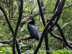-广州长隆野生动物世界