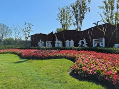 -上海滨江森林公园