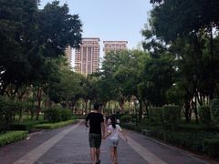 -厦门海湾公园游乐场