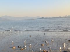 -深圳湾公园(南山区)