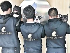 -Double Rui宠物酒店