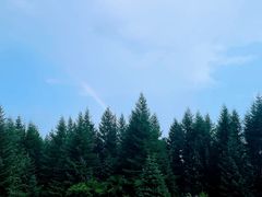 -芦芽山旅游度假区