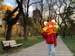 -玲珑塔公园