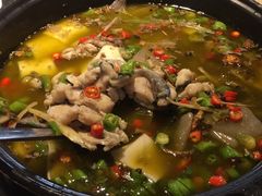 -香坝坝鲜鱼火锅(春熙路店)