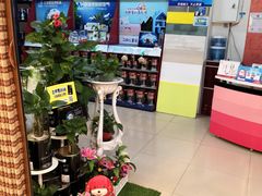 -立邦(汶水红星美凯龙专卖店)