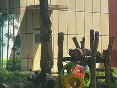 -秦皇岛野生动物园