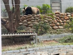 -石排湾郊野公园