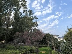 -山湖温泉
