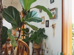 -AHAVA·Fang Baking Studio