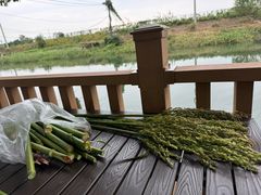 -小陆莲花蟹园农家乐(莲花岛店)