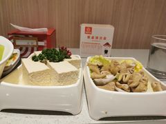 -海底捞火锅(奥体南路店)