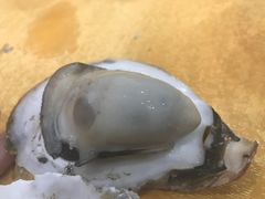 -蚝专家(北滘店)