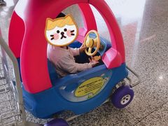 -上海浦东国际机场-T2航站楼