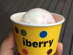 -莓园冰淇淋店