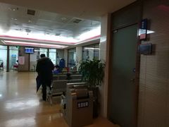 -上海市东方医院(总院)