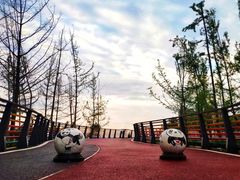 -府河摄影公园