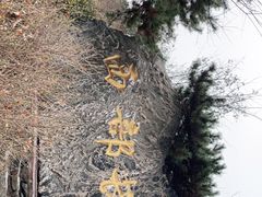 -西部长青自然儿童乐园