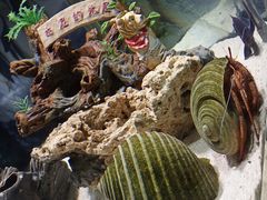 -太平洋海底世界