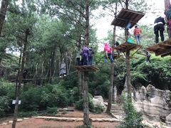 -梦幻奥陶纪景区